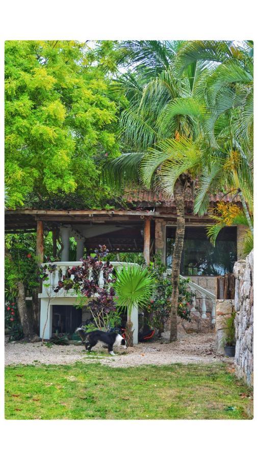 Bed and Breakfast Tortuga Bacalar Exterior foto