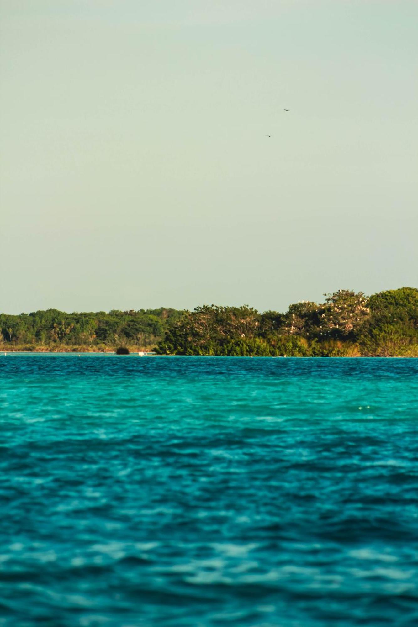 Bed and Breakfast Tortuga Bacalar Exterior foto